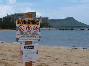 hawaii tourist beach